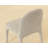 Tamina Dining Chair
