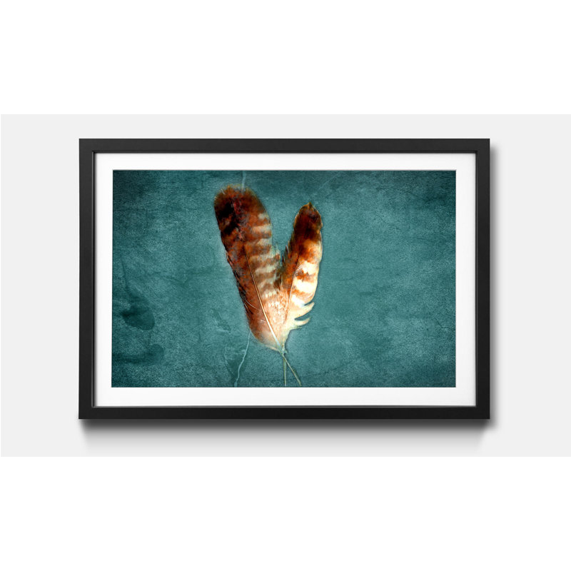 Two Feathers - Single Picture Frame Print, 40cm H x 60cm W