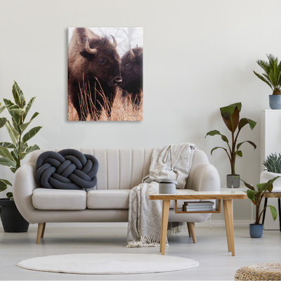 Bison, bovins, couple, hautes herbes, campagne d'automne, ferme grise, estampe numérique, art texturé par Debra Van Swearingen
