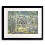 Winter Oak Grove Print by Bruce Heinemann