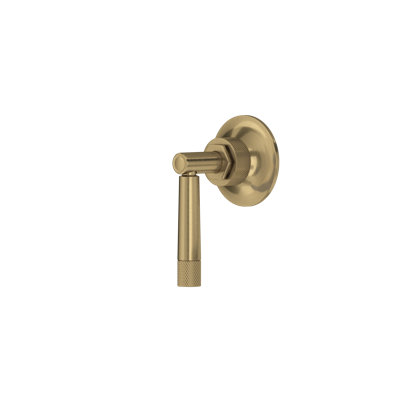Graceline Trim For Volume Control And Diverter
