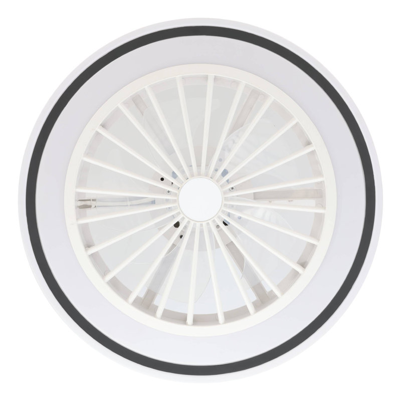 Hera Ceiling Fan with LED Lights
