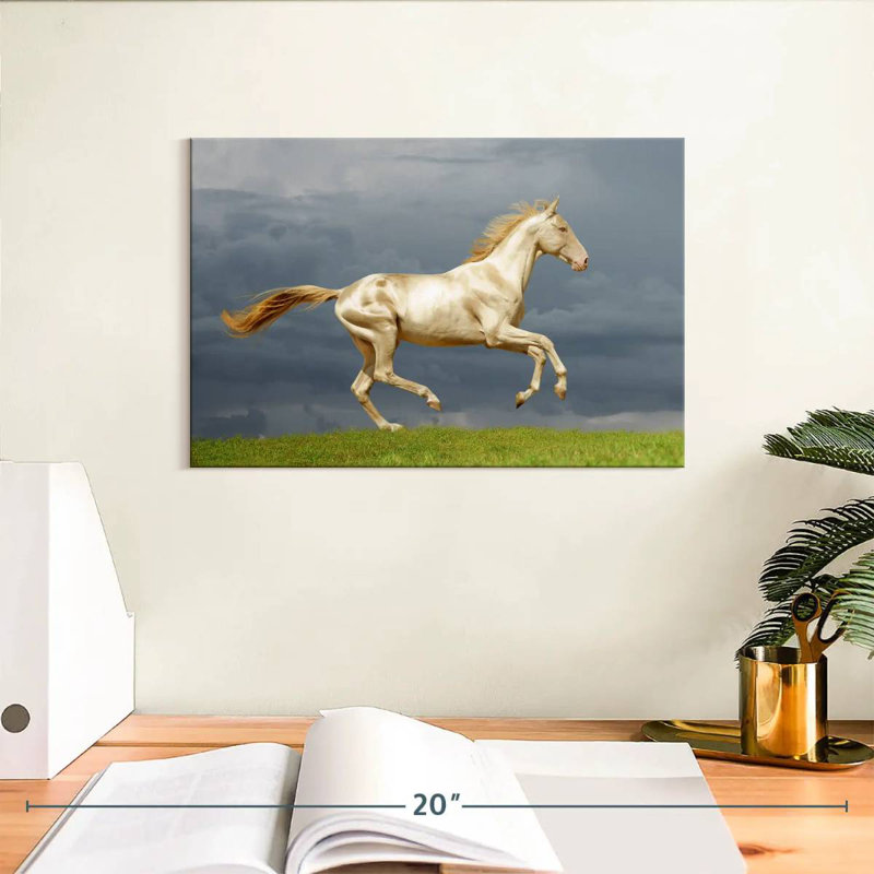Brampt magnifique cheval Akhal Teke, H 8 po x l 12 po