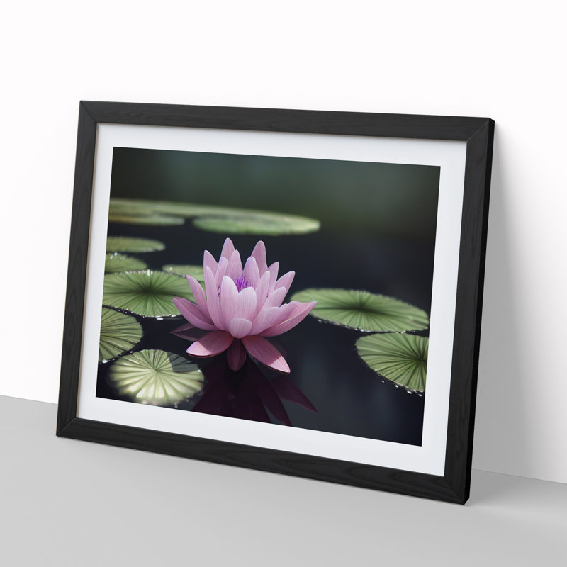 Expressive Water Lily Flower - Single Picture Frame Print, 46cm H x 64cm W x 2cm D, Black