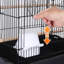 159cm Iron Pointed Top Floor Bird Cage with Wheels-624306284