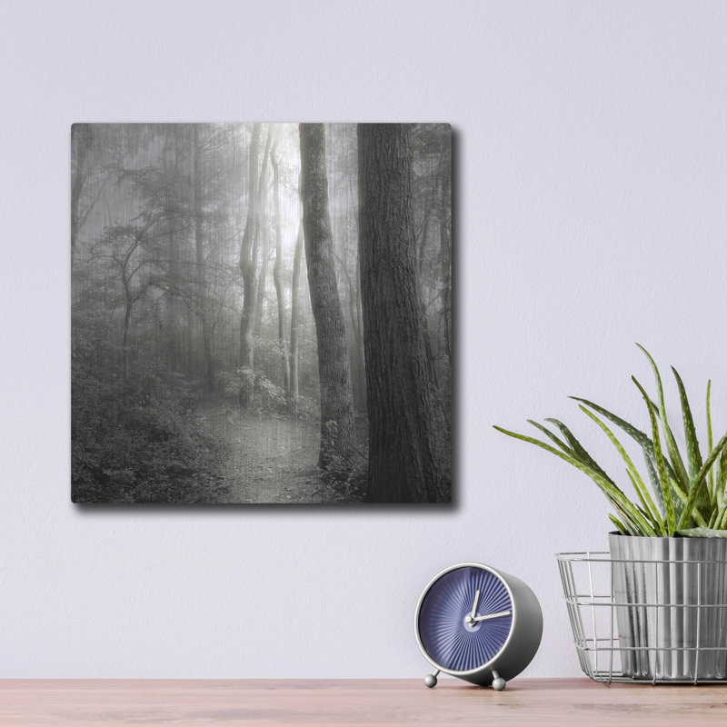 «Woodland Path» par Nicholas Bell, art mural en métal, H 12 po x l 12 po