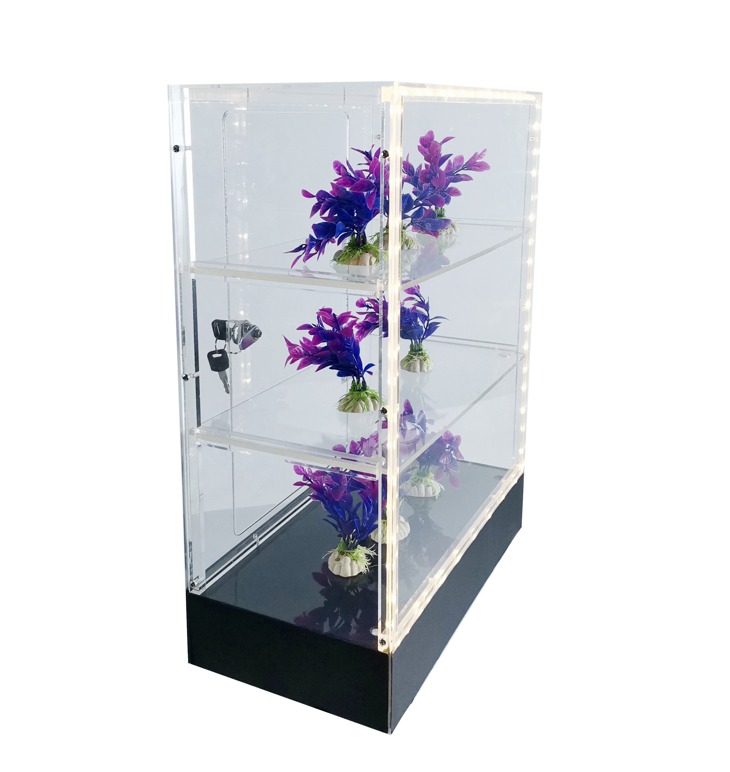 https://assets.wfcdn.com/im/78706108/compr-r85/1860/186081248/clear-cabinet-acrylic-display-removable-shelf-case-plexiglass-showcase-with-lock-and-key-transparent.jpg