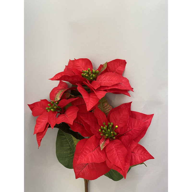 SPRAY POINSETTIA X3