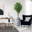 75 plantes-97992053