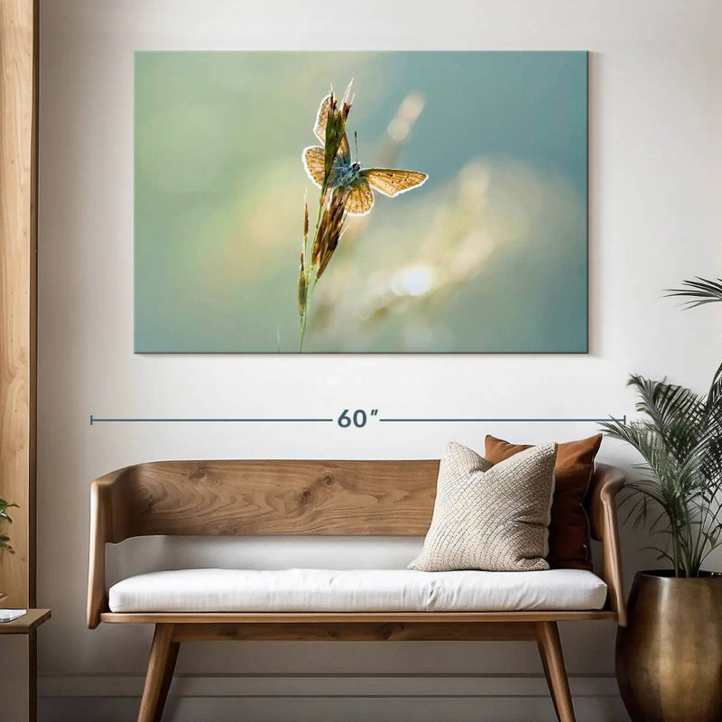 Brampt Icarus Butterfly, 34" H x 51" W