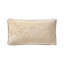 Boromee Velvet Pillow Cover & Insert-1338290841-1338290840