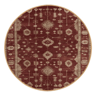Machine Washable Overdyed Brown Area Rug