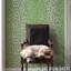 Iconic Leopard Wallpaper-69259194