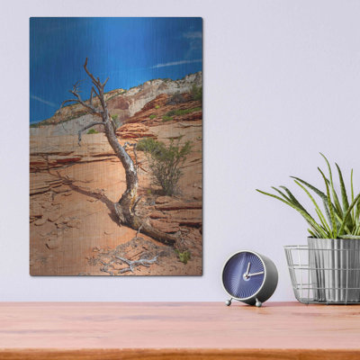 Utah 3', Metal Wall Art