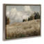 Paysage classique de champ nuageux-1520871890-1512543563