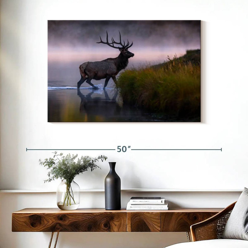 Wapiti dans l'eau, H 26 po x l 39 po