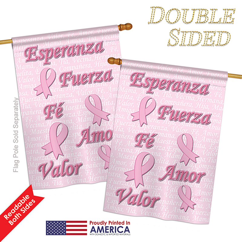 Polyester 40 x 28 po esperanza 2 côtés drapeau maison