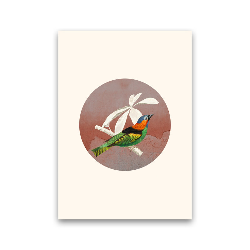 Bird Collage II - Print, No Framed, 84cm H x 60cm W x 1cm D