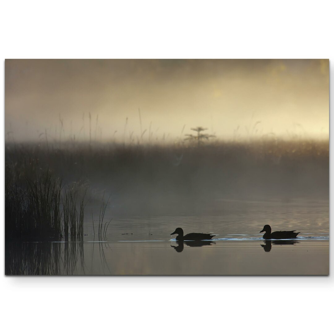 Leinwandbild Stockenten bei Nebel im Sonnenuntergang