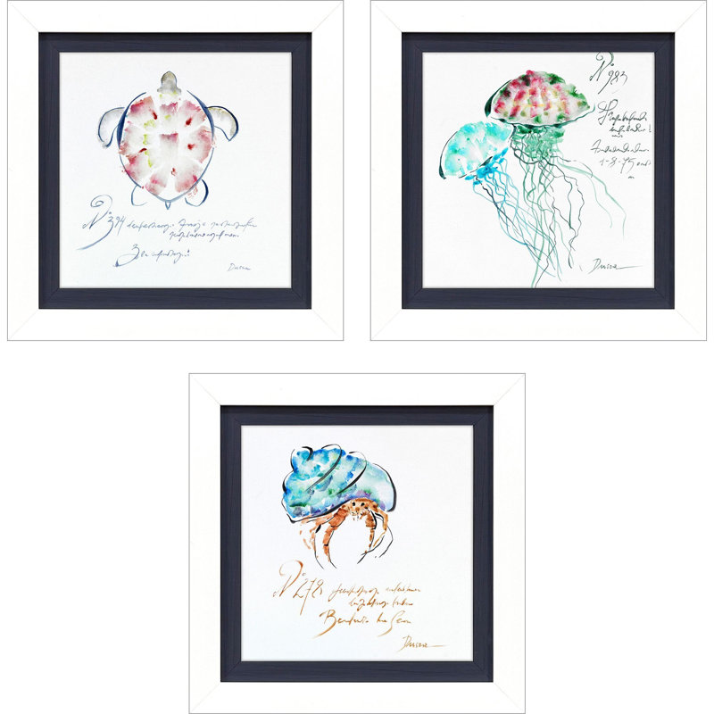 Sealife Framed Art