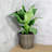 2-Pack Self-Watering Wicker Decor Planter