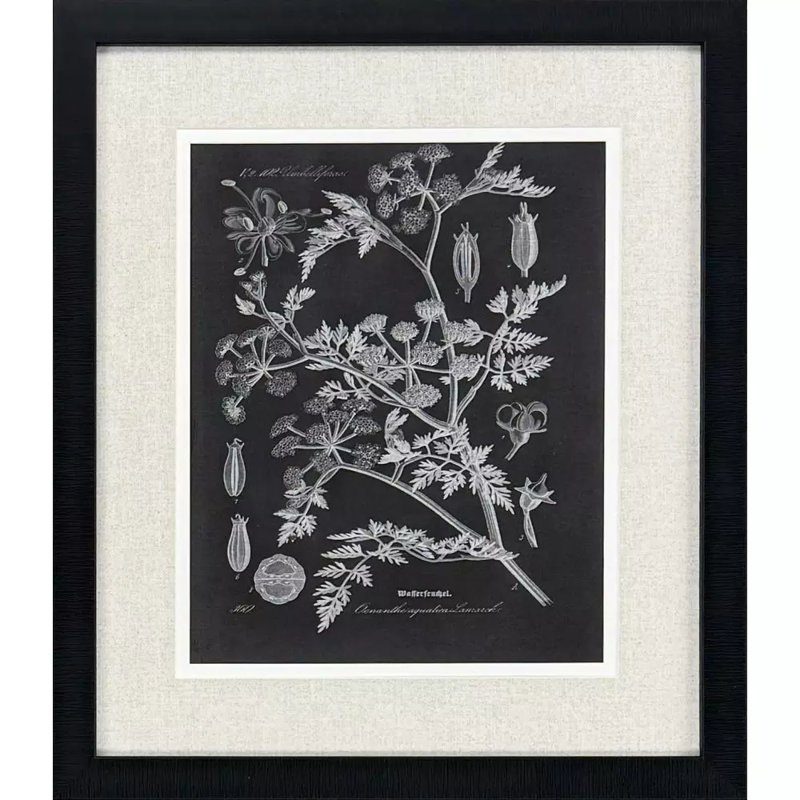 Mono Botanicals I S/2 Print by Libby Langdon Paragon