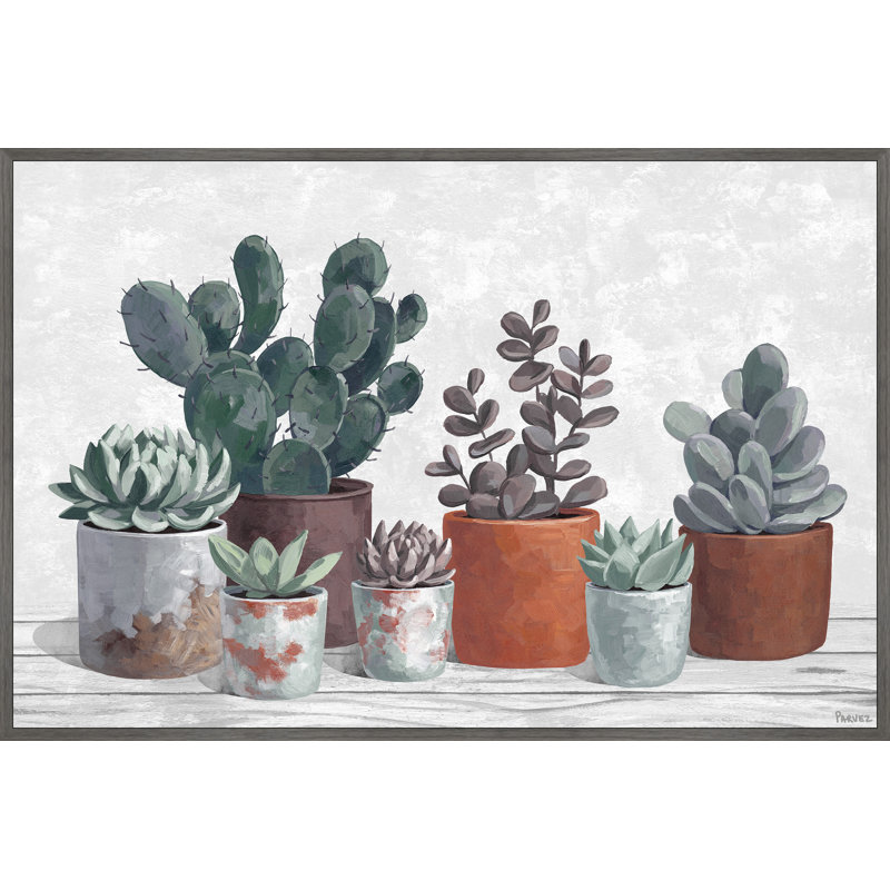 Succulent Clay Pots by Parvez Taj - Floater Frame Painting on Canvas, 76cm H x 114cm W x 3.81cm D