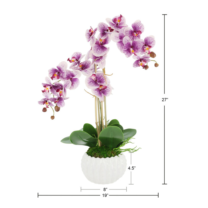 Orchidées mauves dans un pot décoratif en céramique, H 27 po x l 19 po x P 13 po