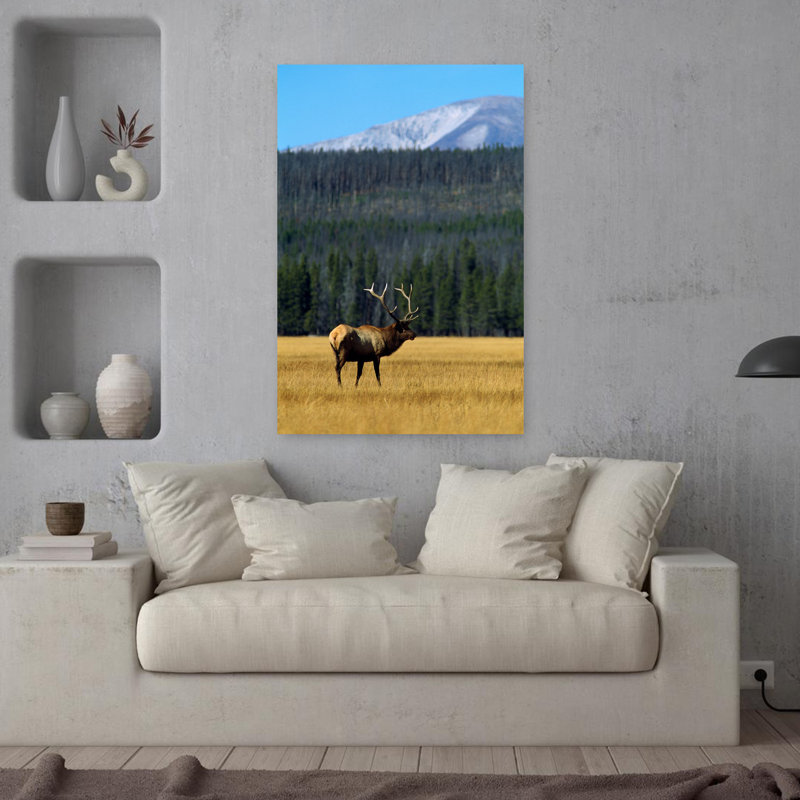 Bull, élan dans l'herbe, paisible, abstrait, pin contemporain, taureau, forêt, paysage, art, H 36 po x l 24 po