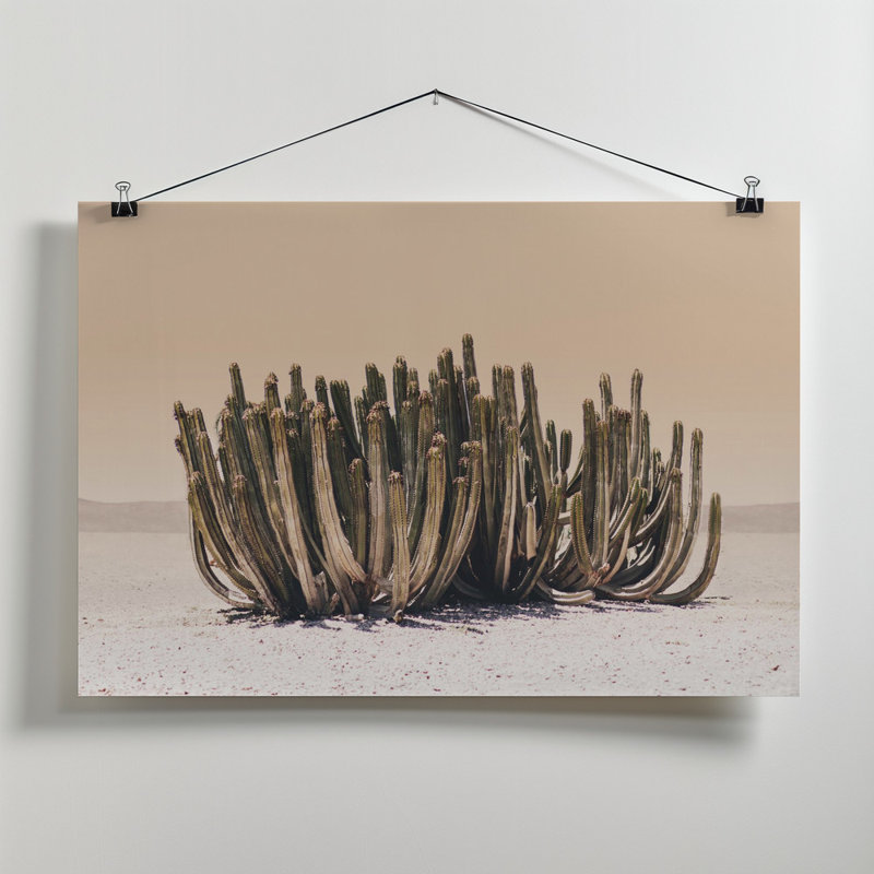 Sky Cactus, 50.8 cm H x 76.2 cm W