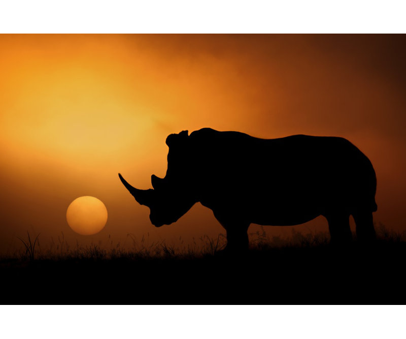 Wrapped Canvas Print, 91.44 cm H x 60.96 cm W