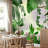 Tropical Dawn Canopy-1393790135