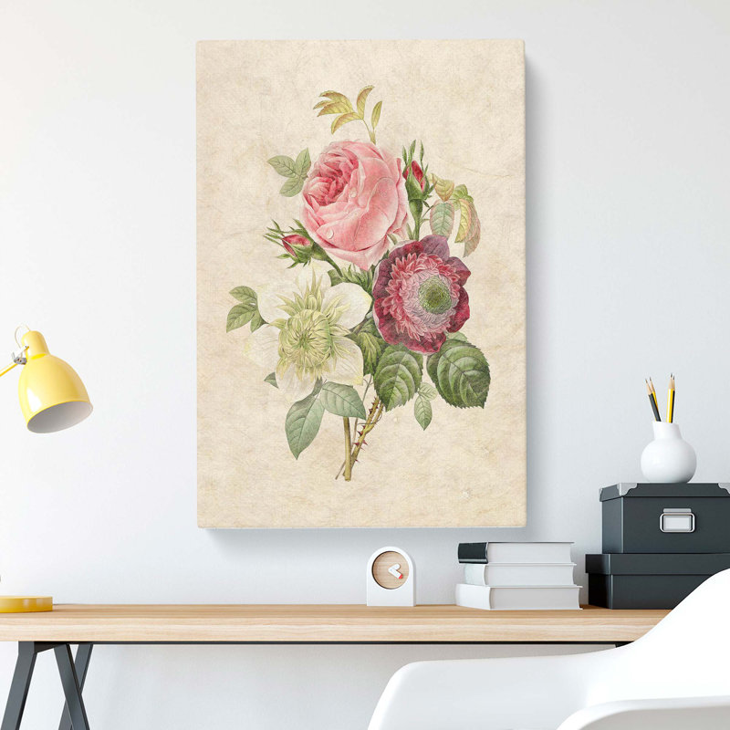 Pink Anemone Rose by Pierre-Joseph Redoute - Wrapped Canvas, 50cm H x 35cm W x 3cm D