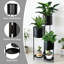 Plant Stand