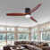 Kudrete 52'' Ceiling Fan with LED Lights