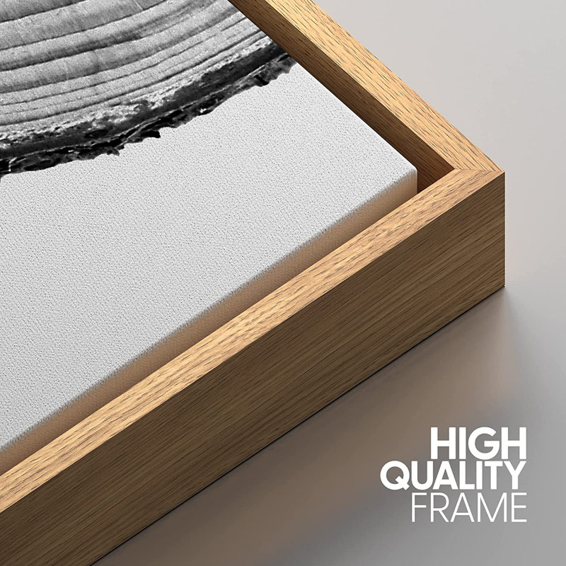 Natural Framed Black and White Tree Rings Canvas Art Set