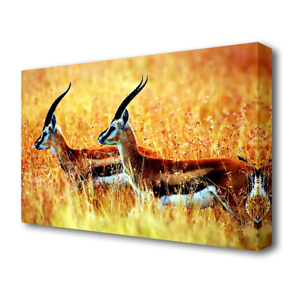 East Urban Home In The Wild Wildlife - Wrapped Canvas Photograph ...
