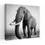 Art mural contemporain majestueux éléphant d'Afrique-129004401