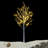 Birch Snow Lighted Trees and Branches-1641773521
