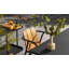 Offline Outdoor Teak Dining Armchair-64076195