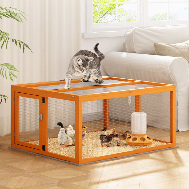 Poulailler portatif Coaxum, panneau solaire verrouillable, Orange