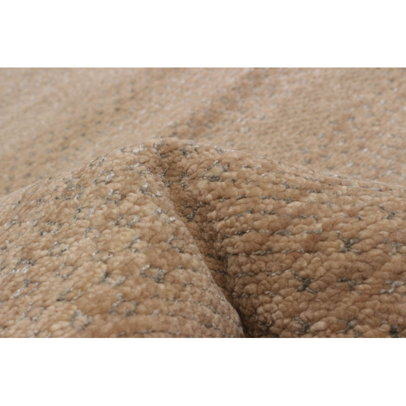 Tapis en soie brun clair ombre 9 pi 10 po x 13 pi 9 po
