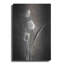 «Two Tone Tulips VIII» par Debra Van Swearingen-472175793