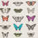 Papilio Wallpaper
