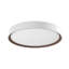 Essex 1 - Light LED Flush Mount