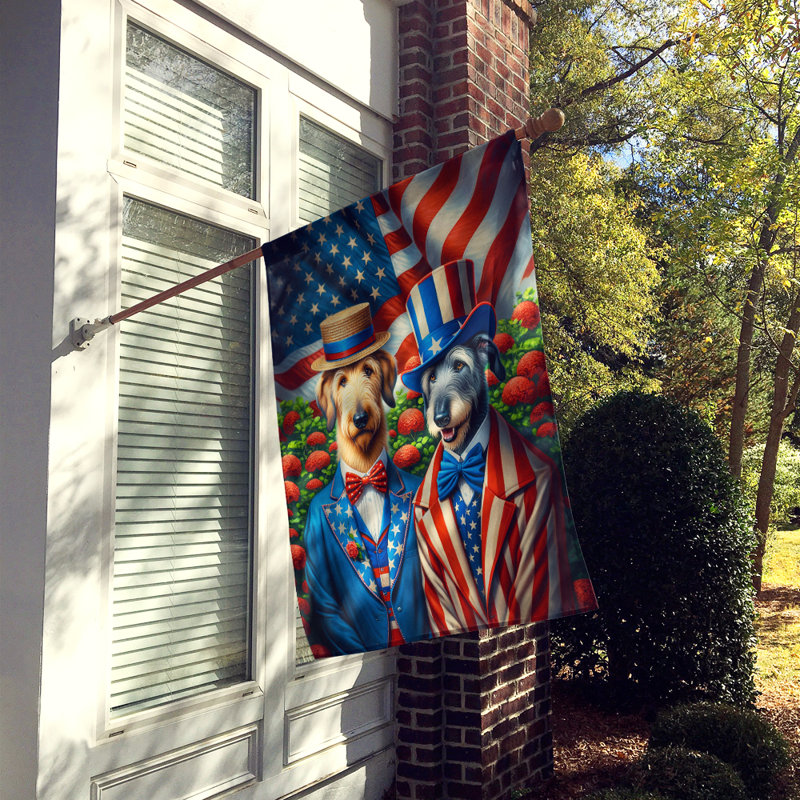 Drapeau «All American House», Lévrier irlandais