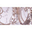 Applique murale à 2 lumières à intensité variable Markenfield-20316427-20316434