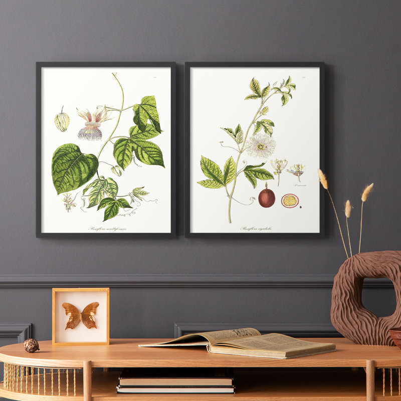 «Passion Flower Trio I», reproduction encadrée de qualité supérieure - prête à être accrochée - aucun clou requis - aucun clou requis