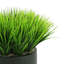 Grass Arrangement In A Round Fiberstone Planter