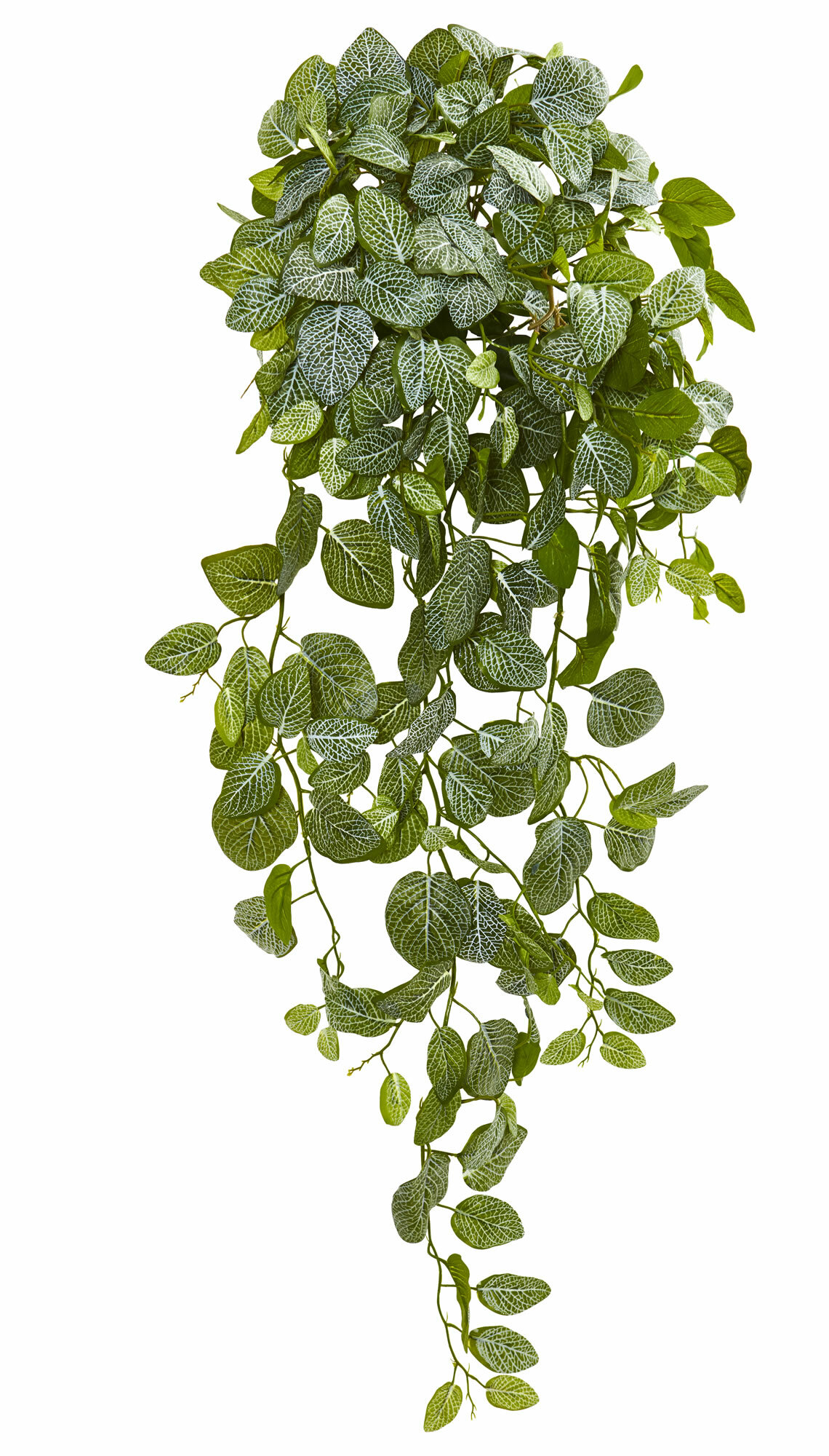 Charlton Home® 36'' Faux Foliage Plant | Wayfair